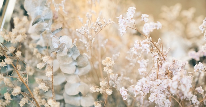 Health and Wellness Coaching