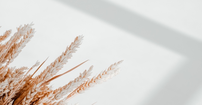CBD Massage